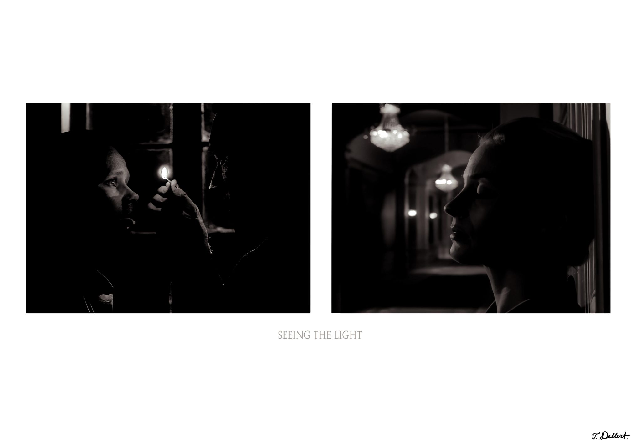 Seing the Light  copy
